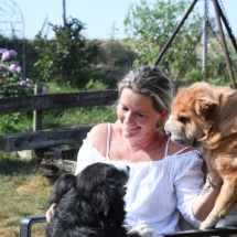 hundehotel-3